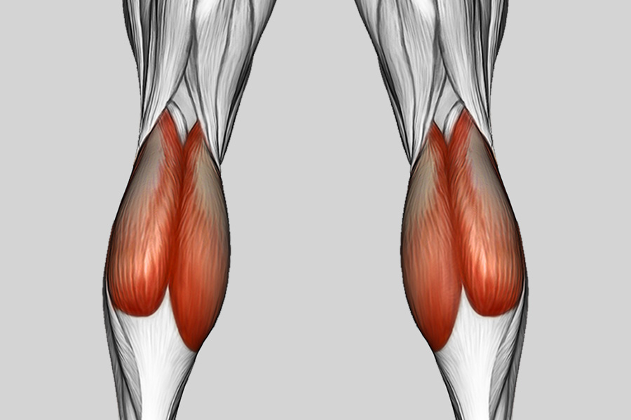 Exercise Category Muscles